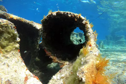 Shipwreck Michelle 8
